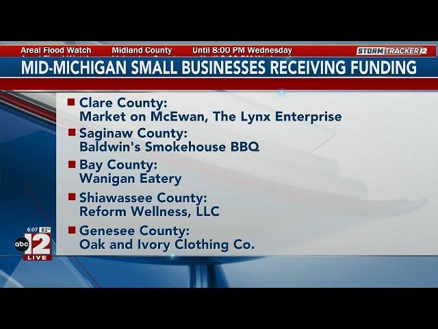 Michigan Economic Development Corporation is giving many small businesses across Michigan funding