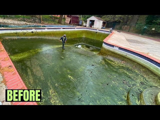 From Murky Waters to Brilliant Blue: Pool Transformation Story #pressurewashing #timelapse