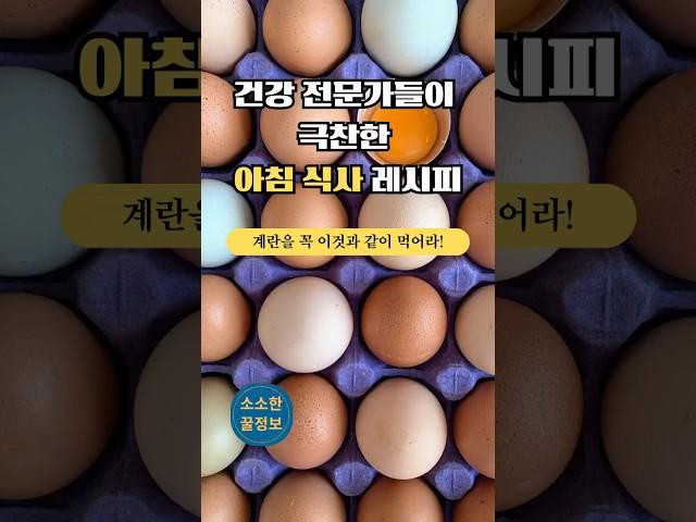 의사들이 뽑은 최강 아침식사 계란! 이것과 꼭 같이 드셔라! #건강음식 #계란