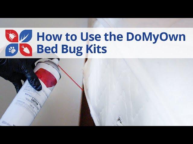 DoMyOwn.com Bed Bug Kits