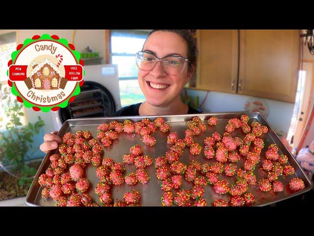 Freeze Dried Nerds Clusters (& More!) | Candy Christmas | Vlogmas Day 14