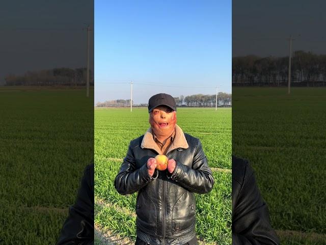 蓝蓝天空下 绿油油的麦田 今天的开心果格外甜 绿油油的麦田 我的农村生活 8090后