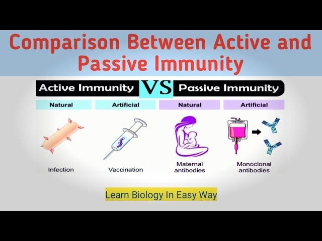 difference between active and passive immunity notes | class12biology #immunology #biology