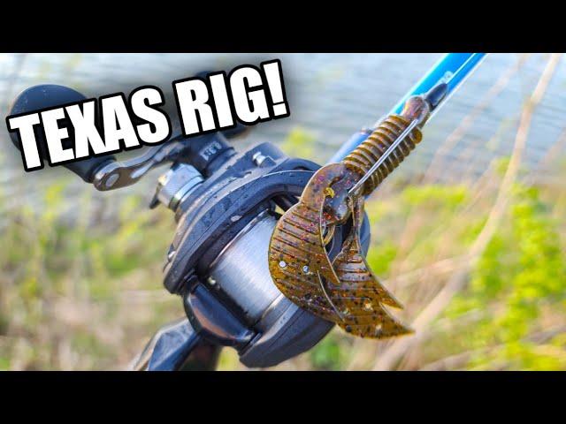 Bass LOVED This Texas Rig (Bank Fishing for Beginners)