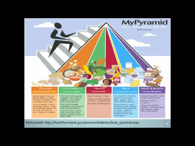 The Role of Nutrition in the Prevention of Disease