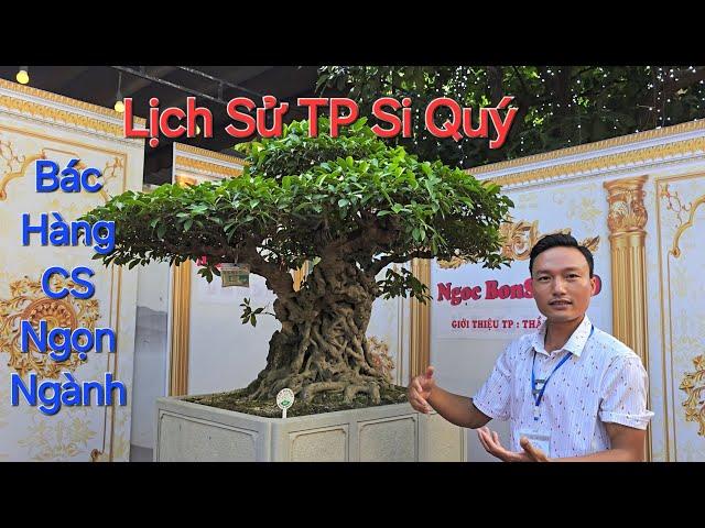 LỊCH SỬ ngọn ngành TP SI QUÝ của em NGỌC tại TL Bonsai Kinh Môn - Hải Dương .