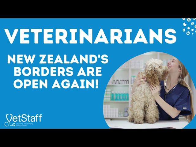 Vets on Vacation or Relocation - New Zealand is open to vets looking for vet clinic jobs