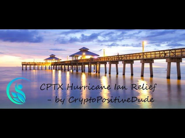 CryptoPositiveDude Hurricane Ian Relief Lunasky NFT collection