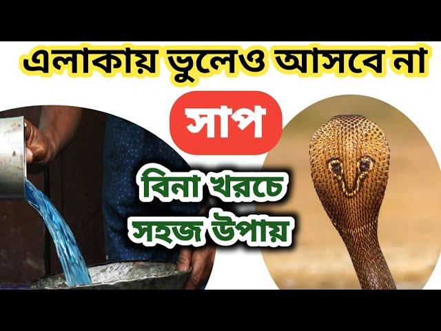 কিভাবে বাড়ি থেকে সাপ তাড়াবেন সহজে। 5 টি ঘরোয়া উপায় বাড়িতে সাপ ঢুকবে না কখনো।