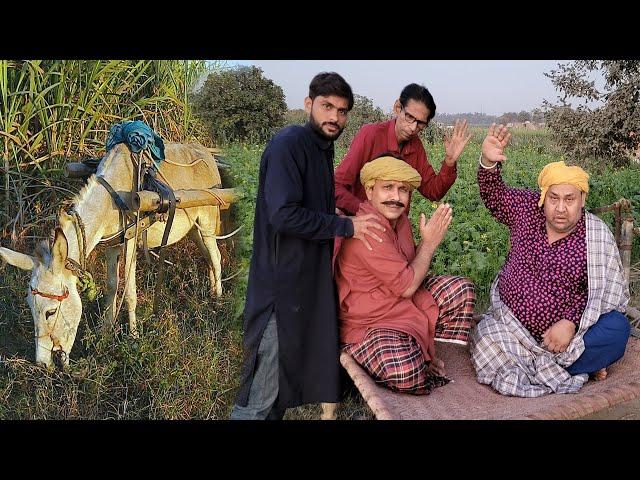 Tasleem Abbas and Soni New Comedy Show || Chaudry Ney Karwayea Faisala @TasleemAbbasOfficial