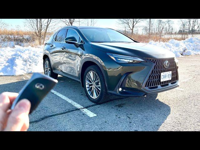 NEW 2023 Lexus NX350h Ultra Luxury AWD Review