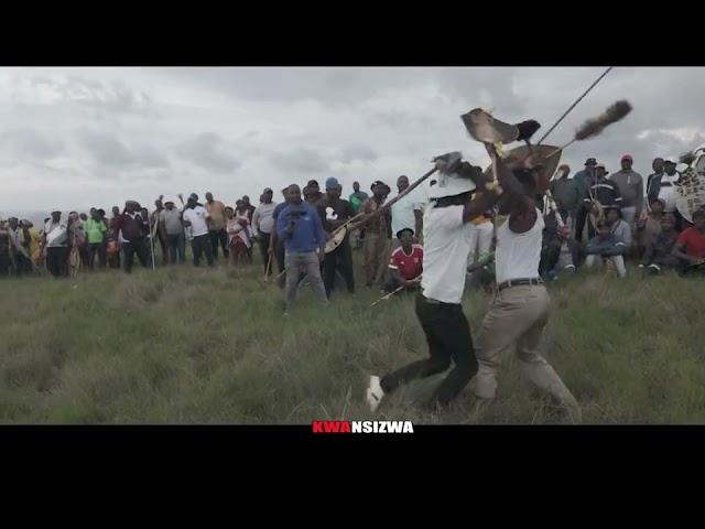 Zulu Warrior - Khwishi ( South Africa )