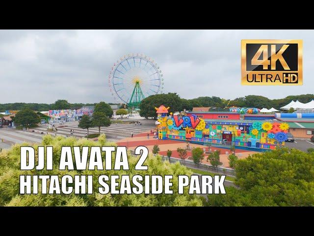 Flight over the Japanese amusement park Hitachi Seaside Park, 4K, DJI Avata 2