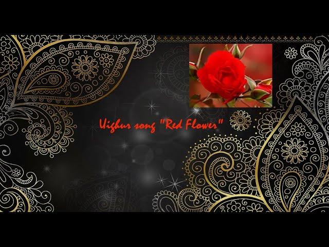 Uighur song "Red Flower" - Уйгурская песня "Кизил Гул"