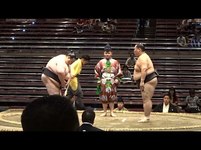 《序二段》隆太陸×京の里～厚雅×東玉康【大相撲令和6年9月場所】14日目 2024/9/21［臨場感ズーム］ [SEP basho 2024 DAY14]