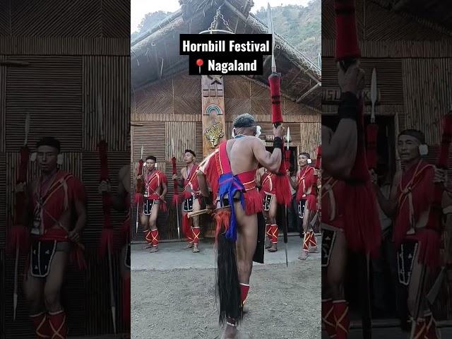 Head Hunters | Hornbill Festival #india #nagaland