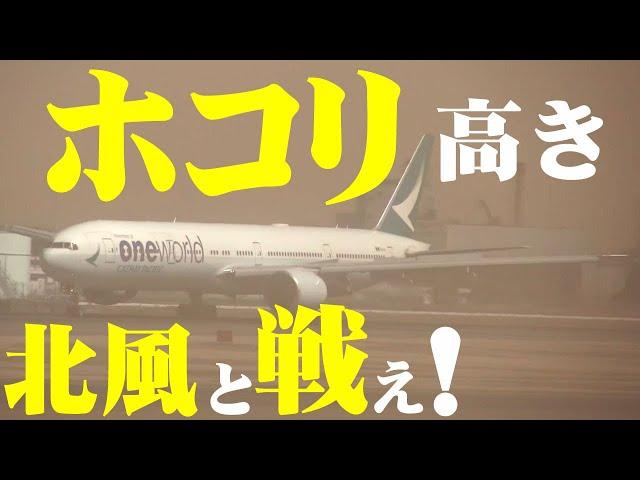 【成田空港】もはや何も見えない!? 台風級の北風と恐怖のウインドシア、荒れ狂う砂嵐の中で格闘する着陸機の雄姿を追った！