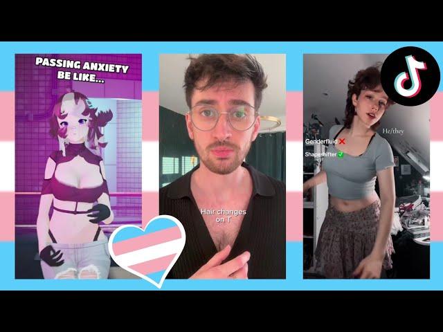 Trans TikToks Compilation #39