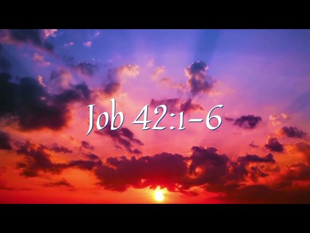 Daily Bible Reading for 1/20/24 - Job 42:1-6