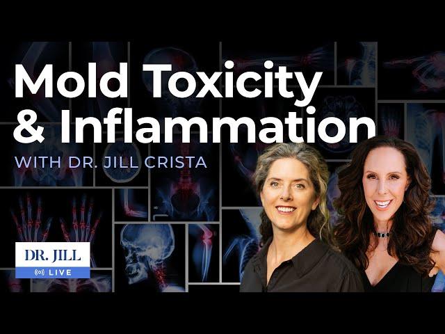 64: Dr. Jill Interviews Dr. Jill Crista on Mold Toxicity, Lyme Disease and Neuroinflammation