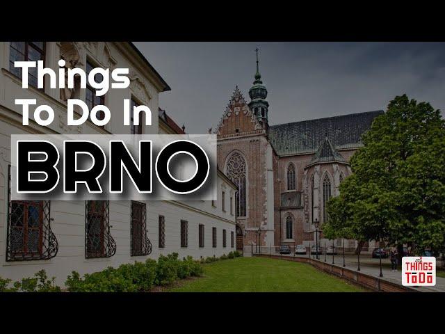 Things To Do in Brno Before Winter Starts