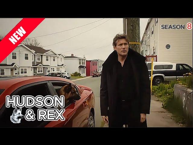 Hudson & Rex ‍️Season 8 |Hound & Vision _ Dogged Pursuit | NEW TODAY‍️Hudson & Rex Full 2024