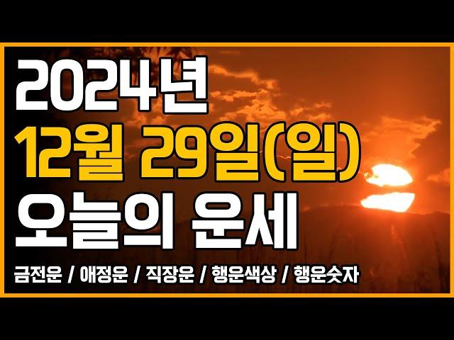 2024년 12월 29일 일요일 띠별운세 [오늘의 운세]