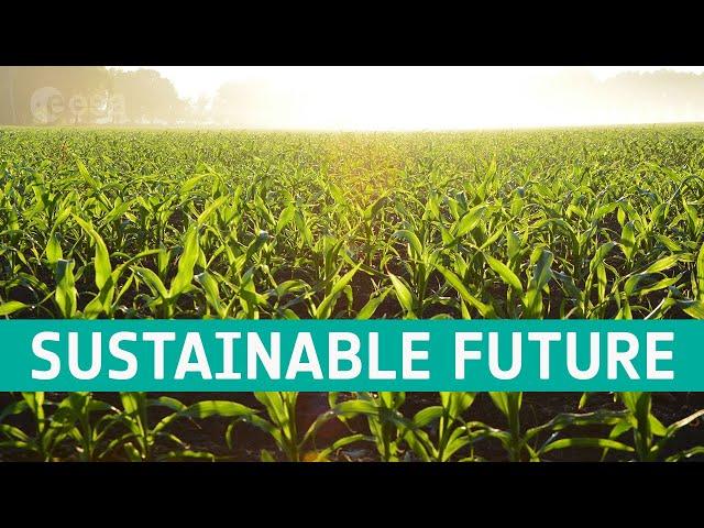 A sustainable future