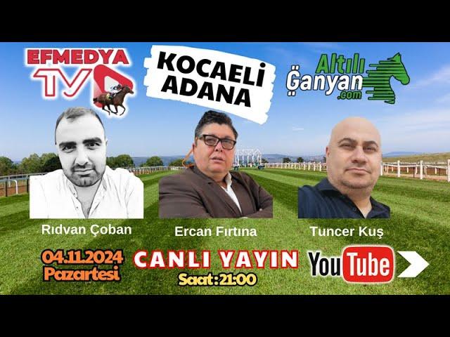 05.11.2024 Salı Adana ve Kocaeli At Yarışları Altılı Ganyan Tahminleri