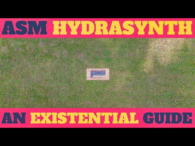 ASM Hydrasynth: An Existential Guide 