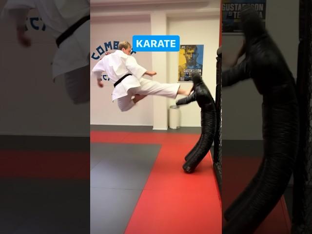 Karate vs. Ameridote 