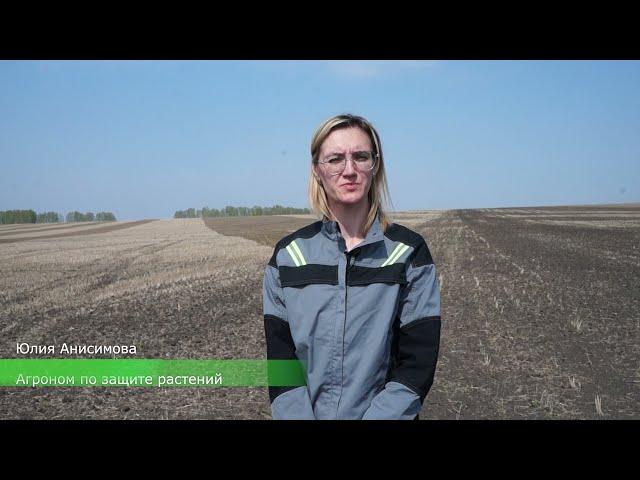 ОПЫТ/Оптимальные сроки внесения безводного аммиака/Часть 1