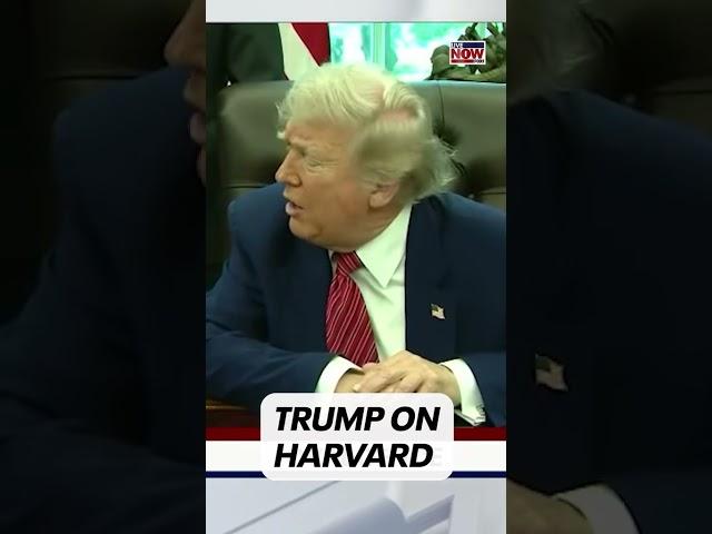 Trump on Harvard
