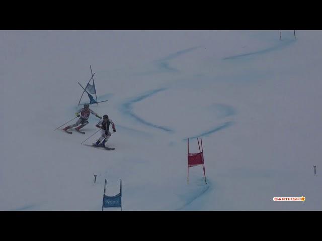 Kryštov Krýzl Dartfish video Ski analysis GS