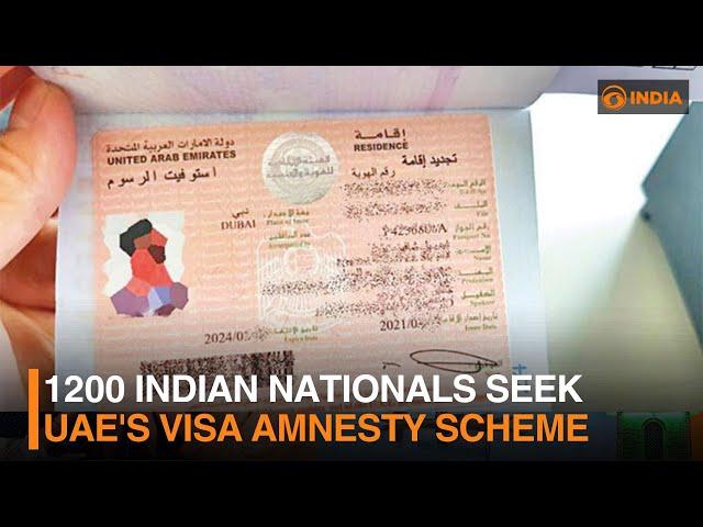 About 1200 Indian Nationals seek UAE's VISA Amnesty scheme within first week | DD India