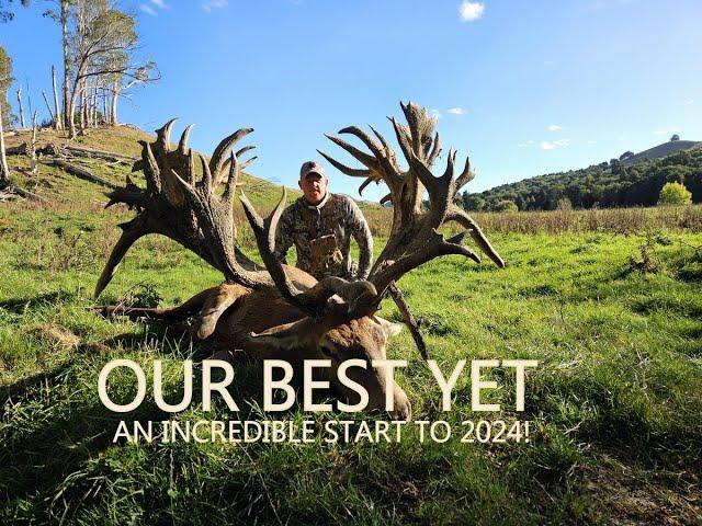 OUR BEST RED STAG YET!