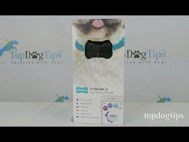 FitBark 2 Dog Activity Monitor Review