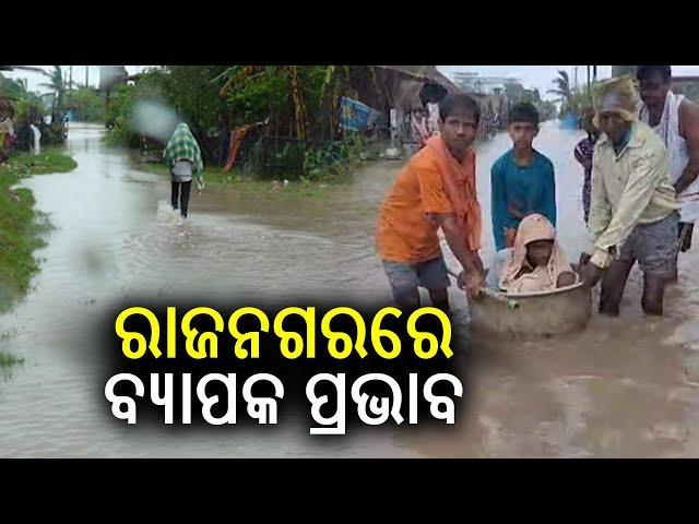 Trees uprooted as Cyclone Dana causes destruction in Kendrapara's Rajnagar || KalingaTV