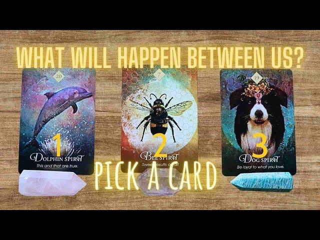  WHAT WILL HAPPEN BETWEEN US!? Find out the future of this connection… / PICK A CARD Love Tarot