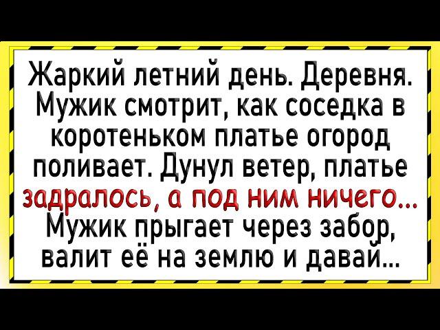 Как мужик у соседке увидел! Сборник свежих анекдотов! Юмор!