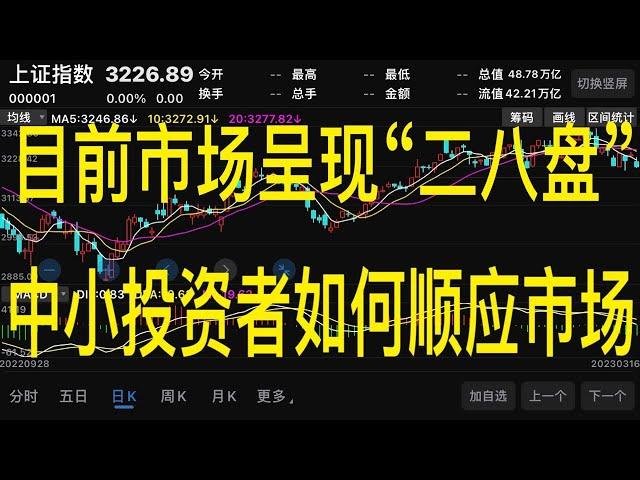 2023年03月17 A股，市场"二八盘"，中小投资者如何应对！