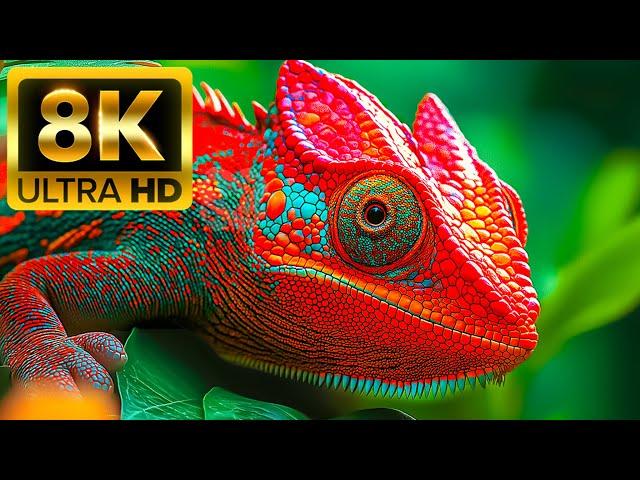 THE MOST CUTE ANIMALS - 8K (60fps) Ultra HD