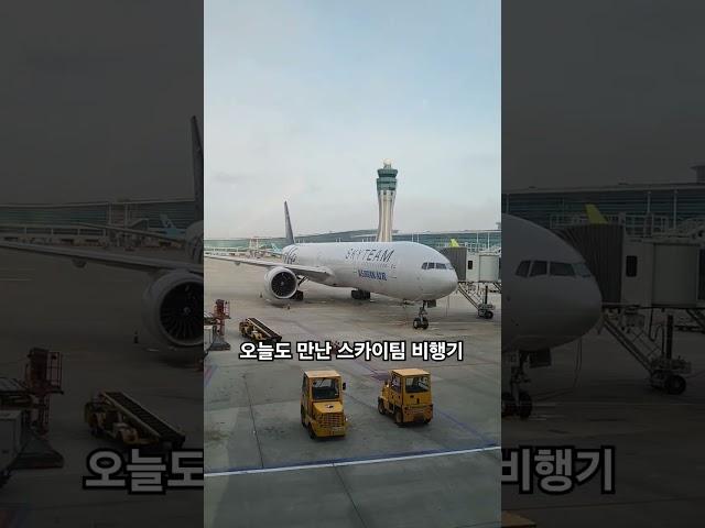 한 대만 있는 게 아닌가봐요
