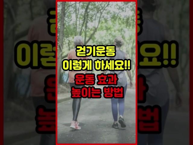 걷기운동 이렇게 하세요!! 운동효과 더욱 높이는 방법 #걷기운동 #건강정보 #걷기