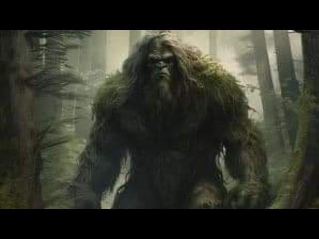 Bigfoot/Sasquatch Videos, Fake or Real You Decide. Most look fake but others are very compelling!