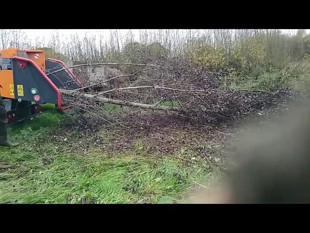 Forst 6" Wood Chipper - What A Beast!