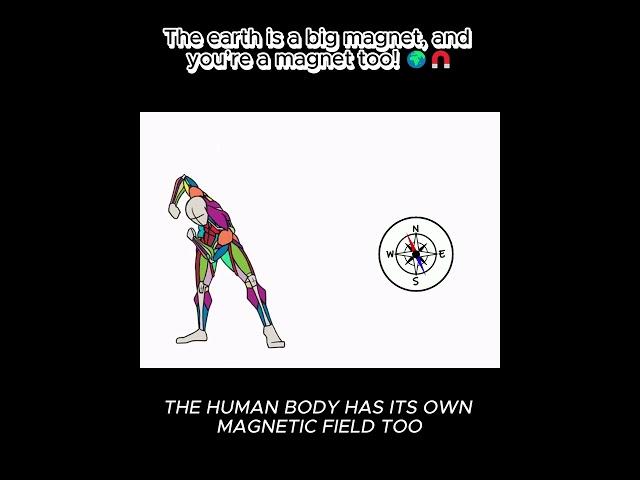 The earth is a big magnet, and you’re a magnet too!! #humanbody #facts