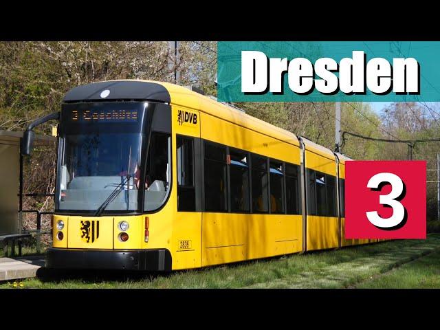 [Doku] Linie 3 Dresden (2021) | Wilder Mann - Coschütz