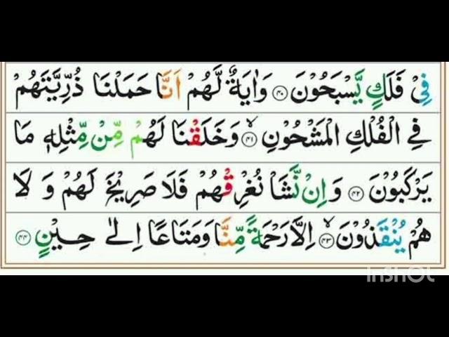 surah yaseen by shama official #quran