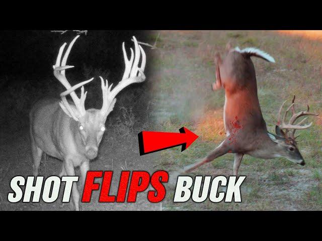 Texas Monster Whitetails